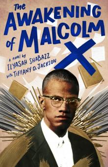 The Awakening of Malcolm X Read online