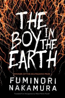 The Boy in the Earth Read online