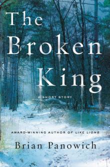 The Broken King Read online