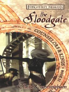 The Floodgate Read online