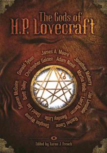 The Gods of HP Lovecraft Read online