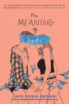 The Meaning of Birds Read online