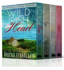The Mystic Cove Series Boxed Set (Wild Irish Books 1-4) Read online
