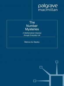 The Number Mysteries: A Mathematical Odyssey through Everyday Life Read online