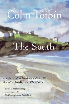 The South Read online