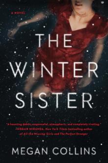 The Winter Sister Read online