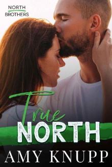 True North (North Brothers Book 1) Read online