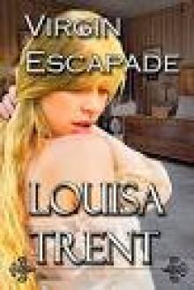 Virgin Escapade (Virgin Series Book 2) Read online