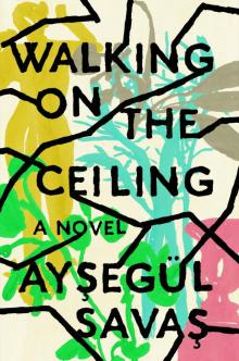 Walking on the Ceiling Read online