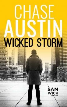 Wicked Storm Read online