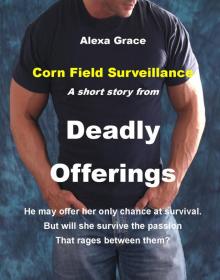 Corn Field Surveillance: A Short Story Read online