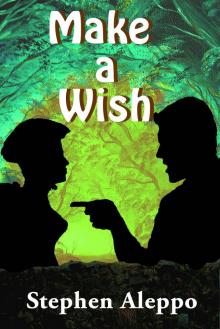 Make a Wish Read online