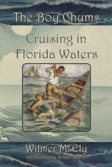 The Boy Chums Cruising in Florida Waters