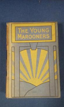 The Young Marooners on the Florida Coast Read online