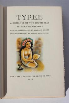Typee: A Romance of the South Seas Read online