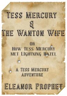 Tess Mercury and the Wanton Wife Read online