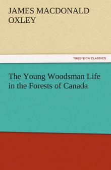 The Young Woodsman; Or, Life in the Forests of Canada Read online