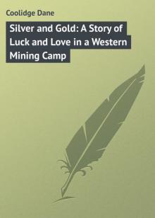Silver and Gold: A Story of Luck and Love in a Western Mining Camp Read online