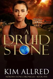 A Druid Stone Read online
