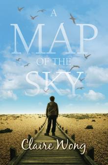 A Map of the Sky Read online