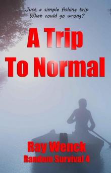 A Trip to Normal Read online