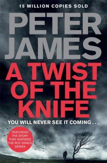 A Twist of the Knife Read online