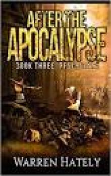 After the Apocalypse Book 3 Resurgence: a zombie apocalypse political action thriller Read online