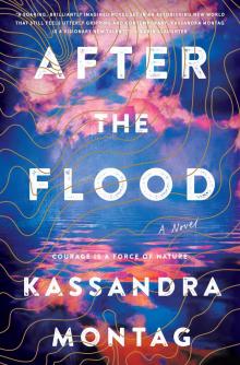 After the Flood Read online