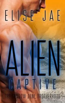 Alien Captive: A Reverse Harem Alien Romance (The Shadow Zone Brotherhood Book 4) Read online