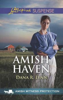 Amish Haven (Amish Witness Protection Book 3) Read online