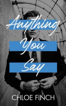 Anything You Say: An Enemies to Lovers Standalone Romance Read online