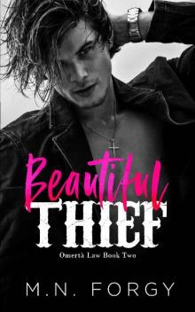 Beautiful Thief (Omertà Law #2) Read online