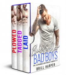 Blue Collar Bad Boys Box Set 2 Read online