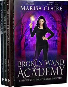 Broken Wand Academy Read online