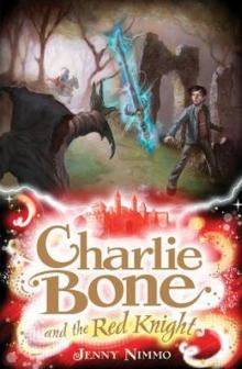 Charlie Bone and the Red Knight Read online