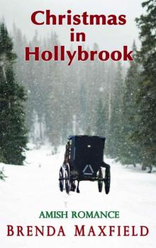 Christmas In Hollybrook (Hollybrook Holiday Amish Romance) Read online