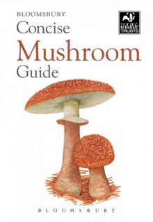 Concise Mushroom Guide Read online