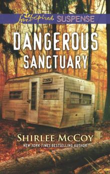 Dangerous Sanctuary Read online