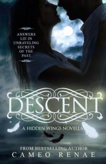 Descent (A Hidden Wings Novella: Prequel) Read online