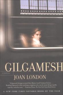 Gilgamesh Read online