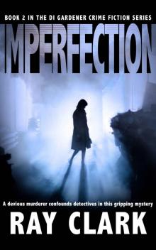 IMPERFECTION Read online