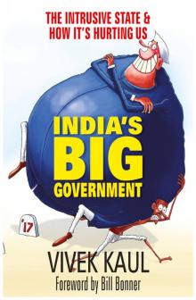 India’s Big Government Read online