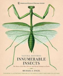 Innumerable Insects Read online