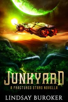 Junkyard Read online