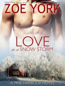 Love in a Snow Storm