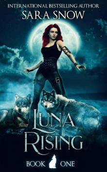 Luna Rising: Book 1 of the Luna Rising Series Read online
