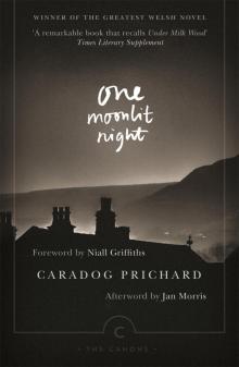 One Moonlit Night Read online