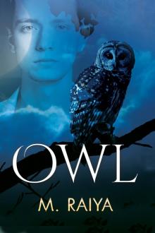 Owl Read online