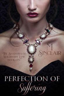 Perfection of Suffering (The Shadows of Wildberry Lane Book 1) Read online