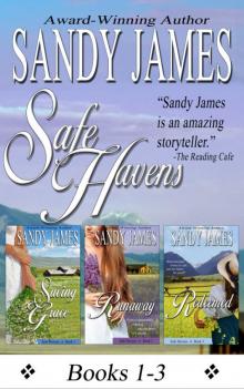 Safe Havens Bundle Read online